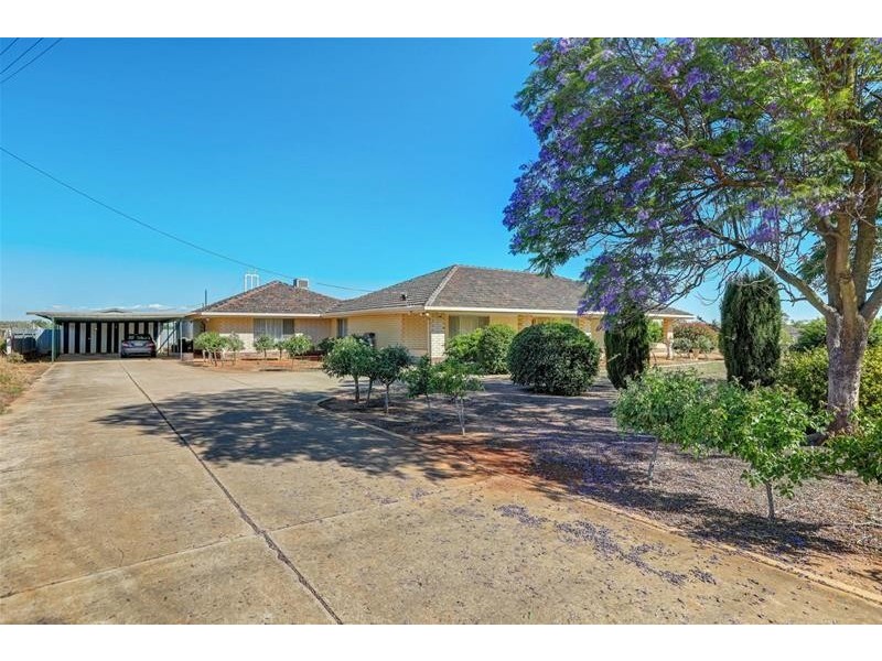204 Broadacres Drive, Penfield Gardens SA 5121