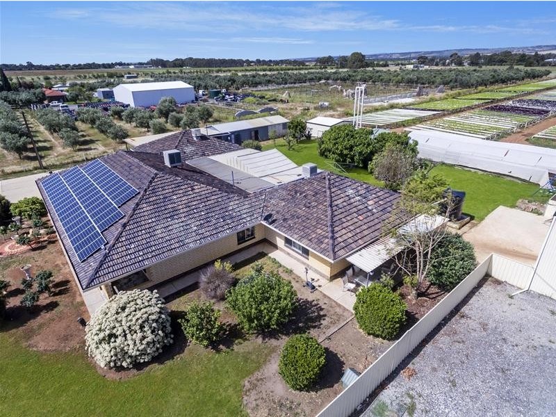 204 Broadacres Drive, Penfield Gardens SA 5121