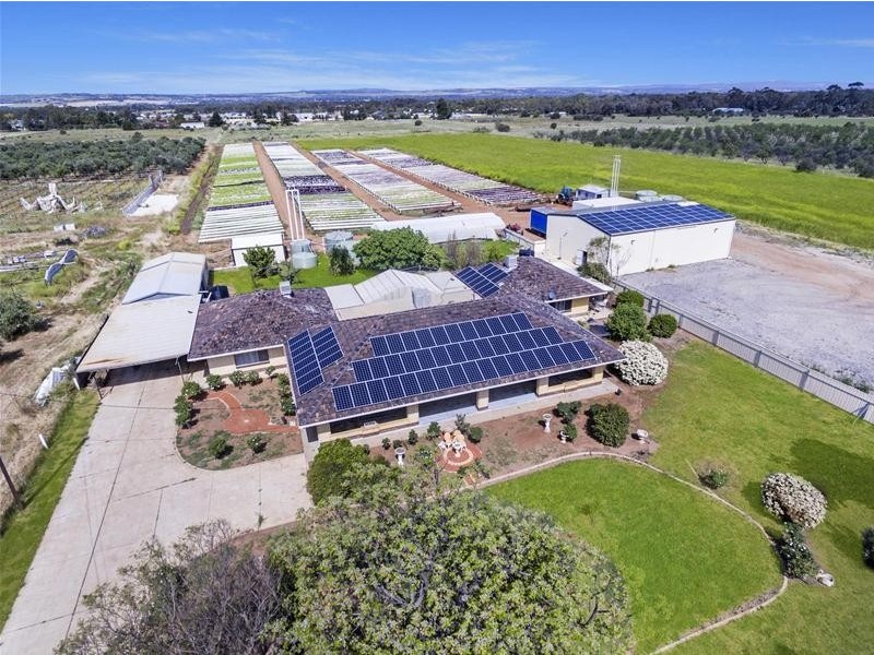 204 Broadacres Drive, Penfield Gardens SA 5121