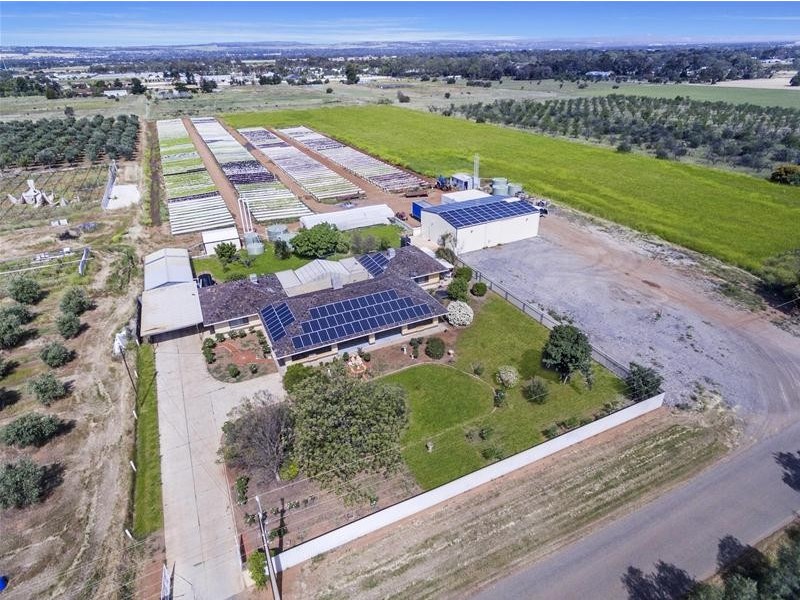 204 Broadacres Drive, Penfield Gardens SA 5121