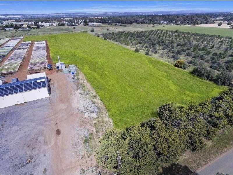 204 Broadacres Drive, Penfield Gardens SA 5121