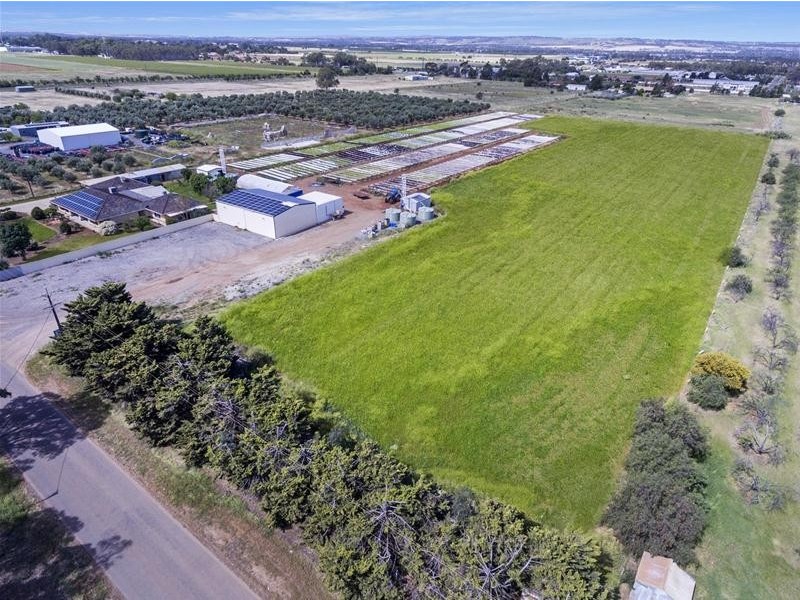 204 Broadacres Drive, Penfield Gardens SA 5121