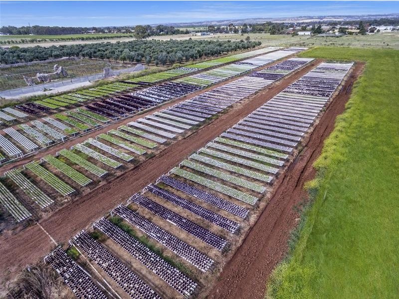 204 Broadacres Drive, Penfield Gardens SA 5121