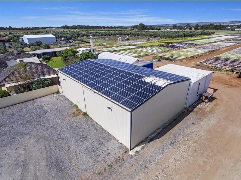 204 Broadacres Drive, Penfield Gardens SA 5121