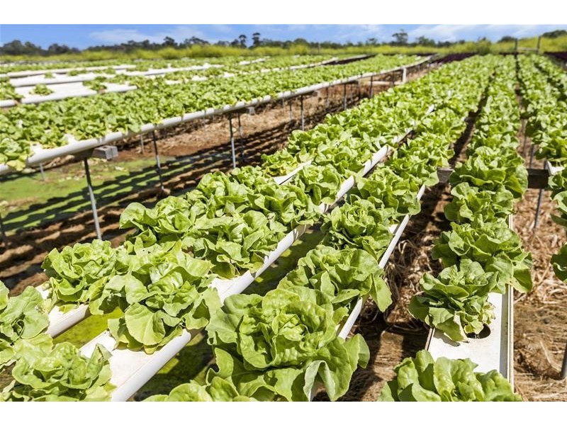 204 Broadacres Drive, Penfield Gardens SA 5121