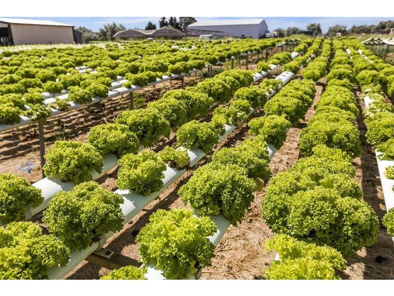 204 Broadacres Drive, Penfield Gardens SA 5121