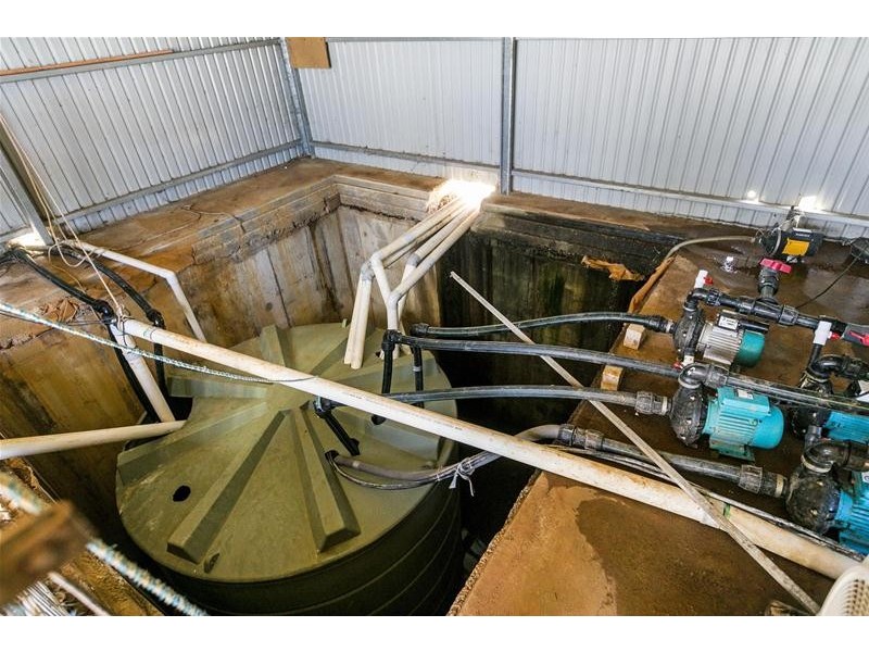 204 Broadacres Drive, Penfield Gardens SA 5121