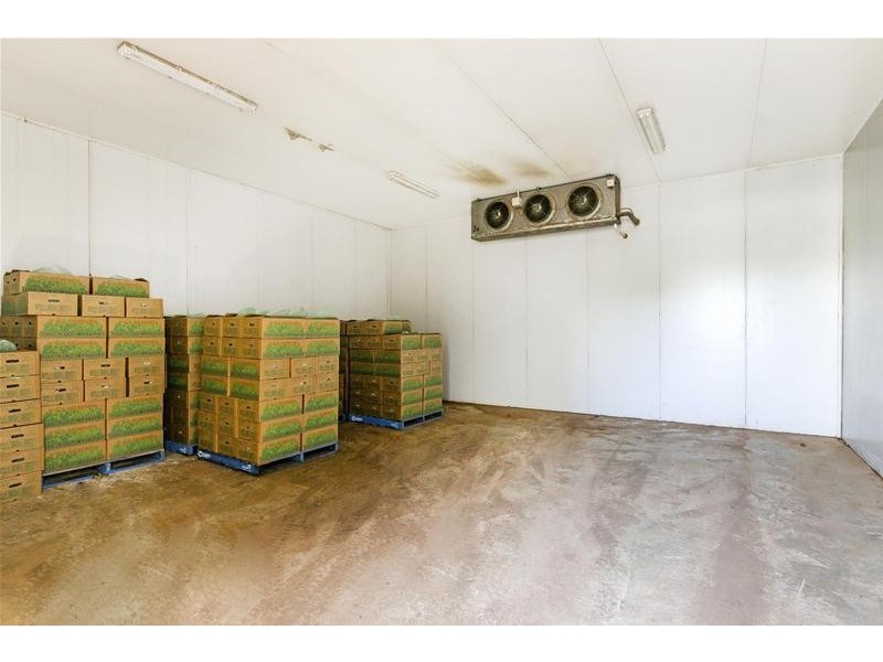 204 Broadacres Drive, Penfield Gardens SA 5121