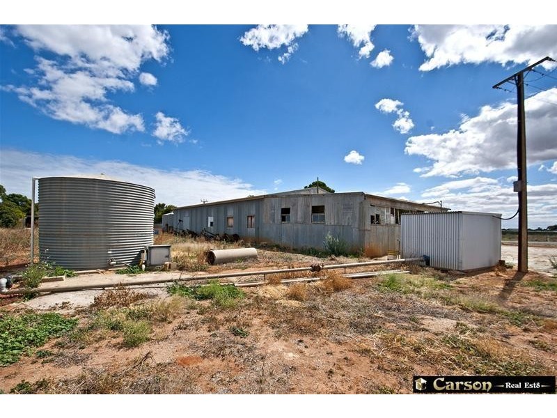 45 Mayes Road, Virginia SA 5120