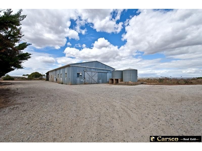 45 Mayes Road, Virginia SA 5120