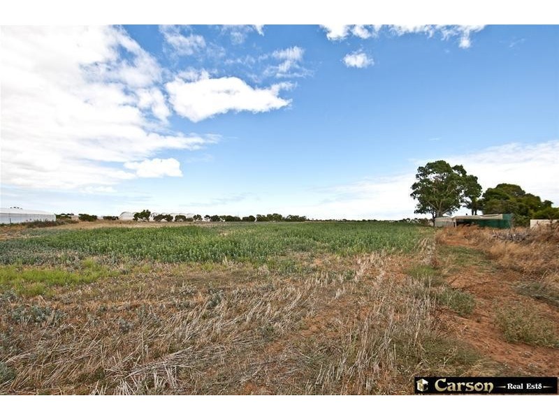 45 Mayes Road, Virginia SA 5120