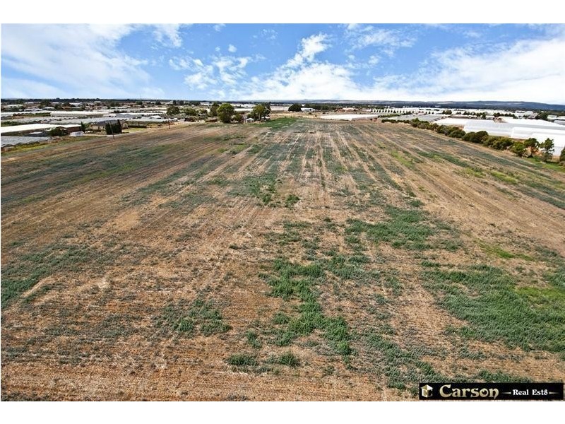 45 Mayes Road, Virginia SA 5120