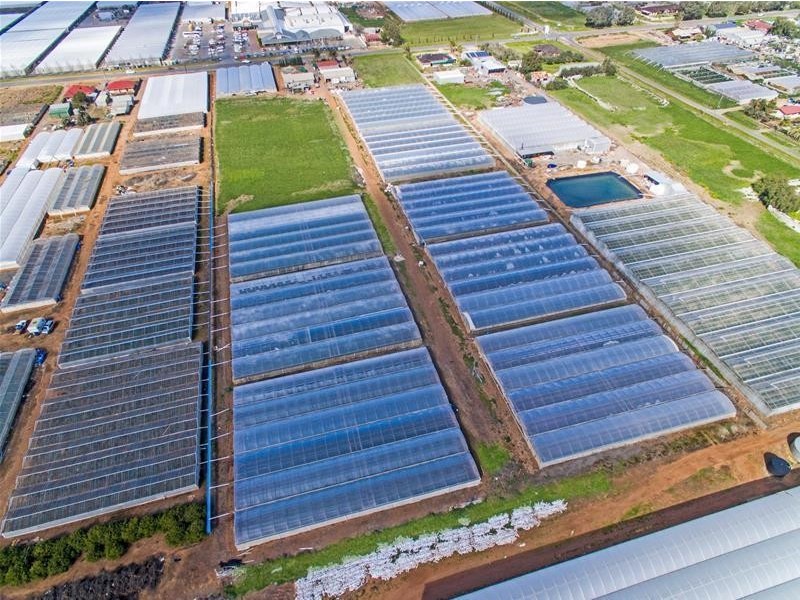 96 Gawler Road, Virginia SA 5120