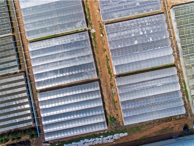 96 Gawler Road, Virginia SA 5120