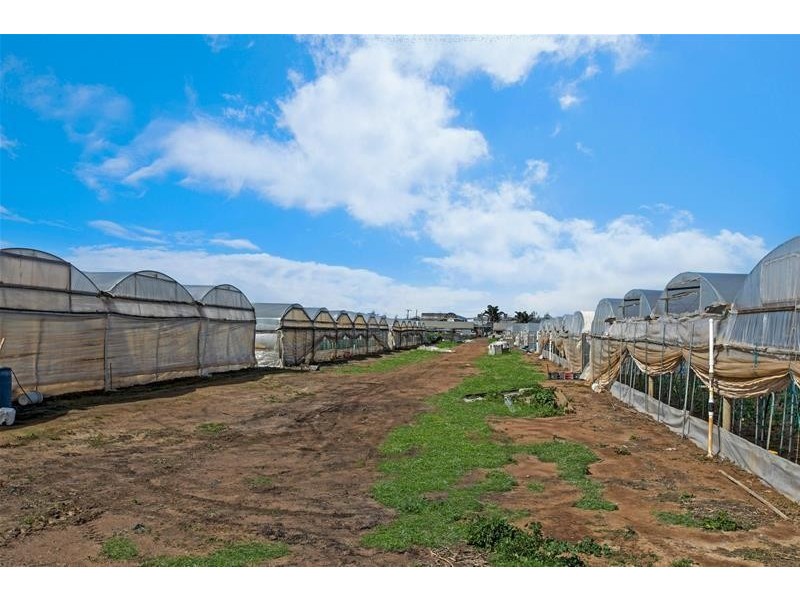 96 Gawler Road, Virginia SA 5120