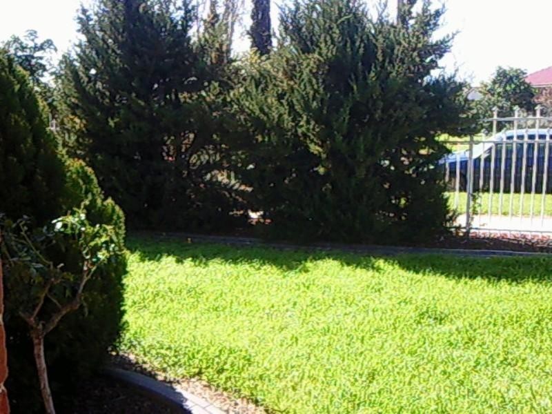 112 McKenzie Road, Elizabeth Downs SA 5113