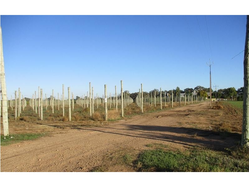 4 Ellis Road, Two Wells SA 5501