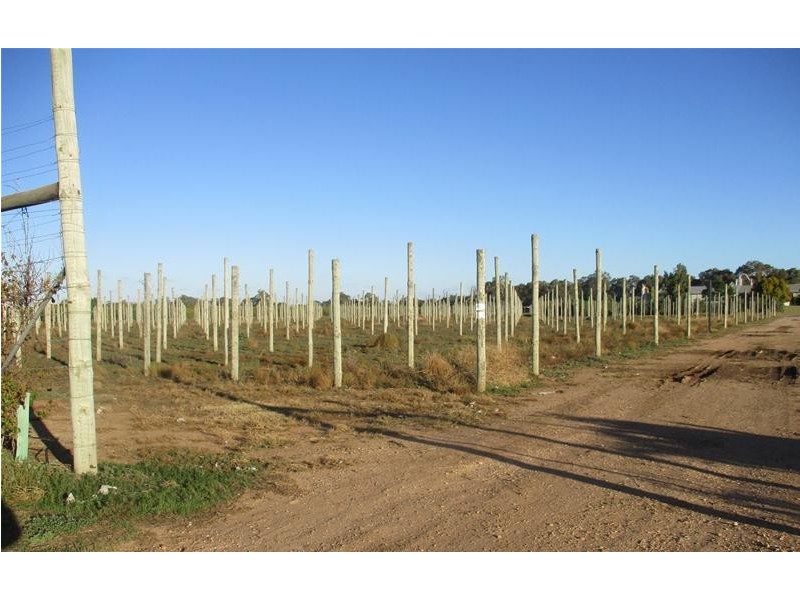 4 Ellis Road, Two Wells SA 5501