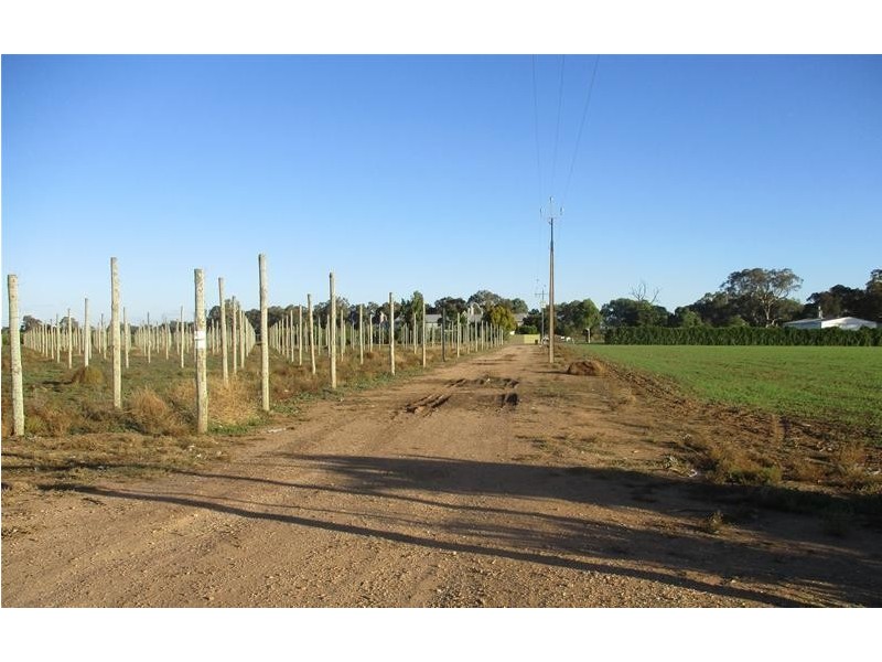 4 Ellis Road, Two Wells SA 5501