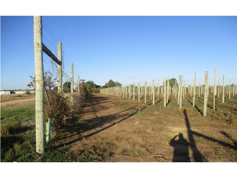 4 Ellis Road, Two Wells SA 5501