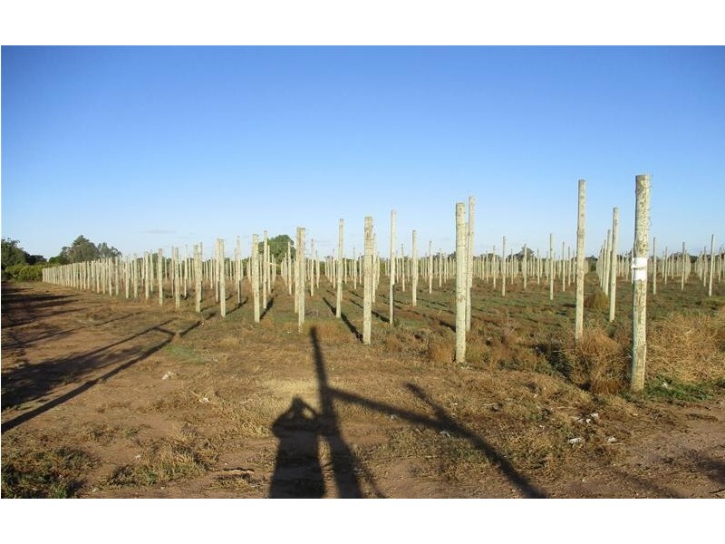 4 Ellis Road, Two Wells SA 5501