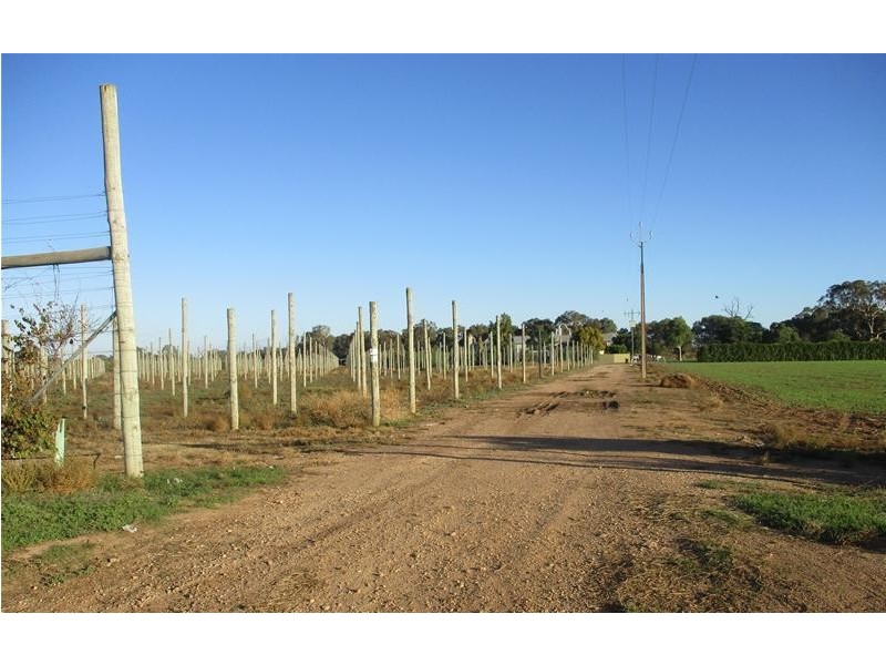 4 Ellis Road, Two Wells SA 5501