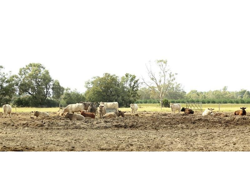 117 McGee Road, Angle Vale SA 5117