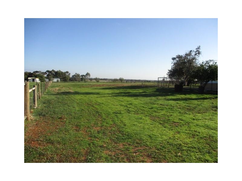 55 Campania Road, Gawler SA 5118