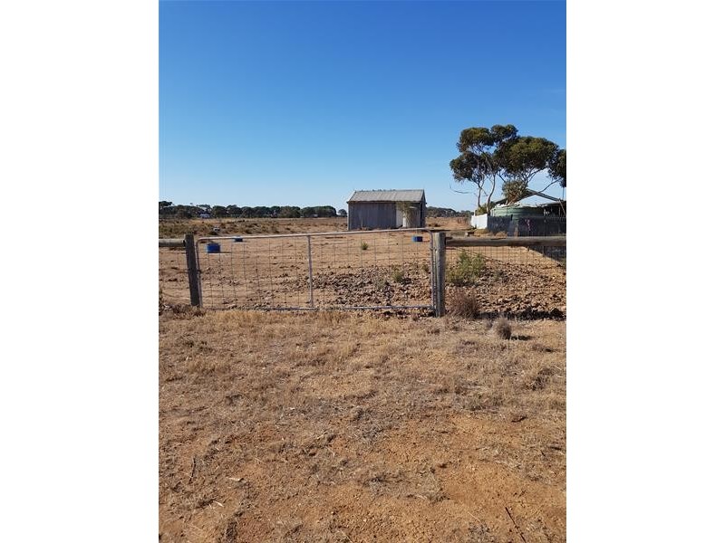 319 Halstead Road West Road, Two Wells SA 5501