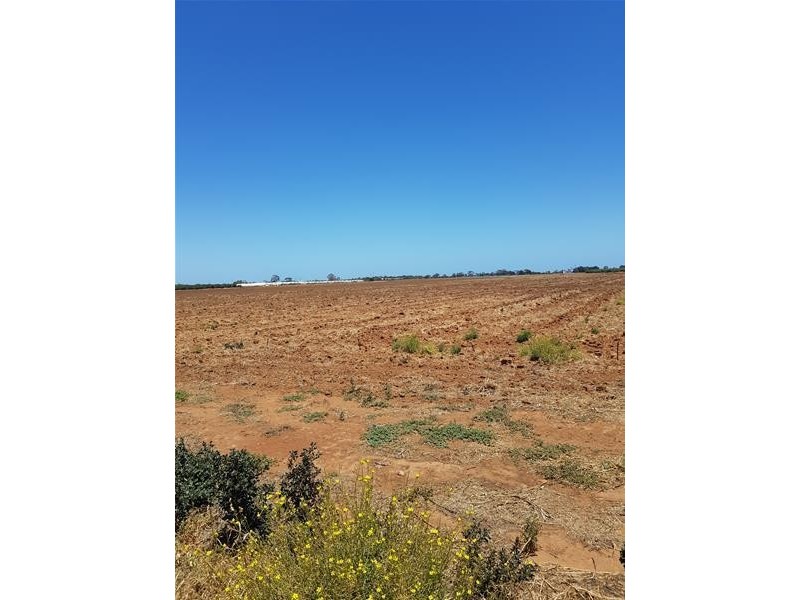 Old Port Wakefield Road, Virginia SA 5120