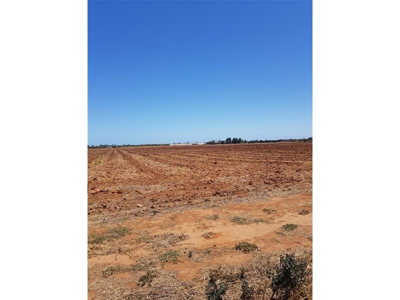 Old Port Wakefield Road, Virginia SA 5120