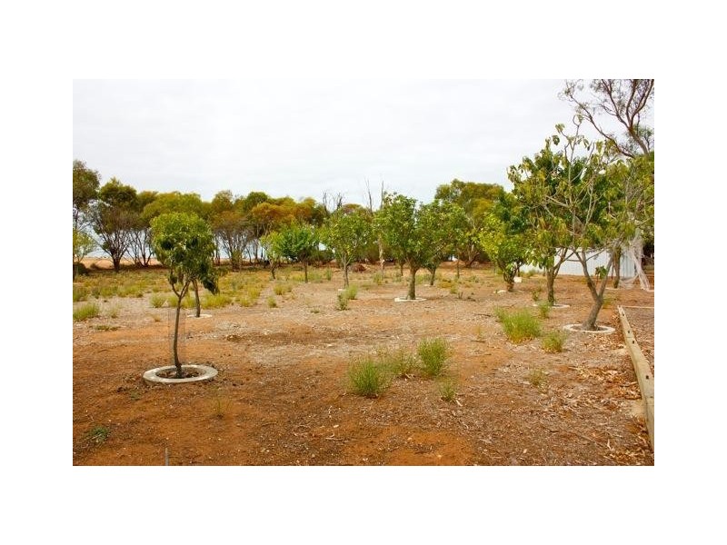 229 North Parham Road, Windsor SA 5501