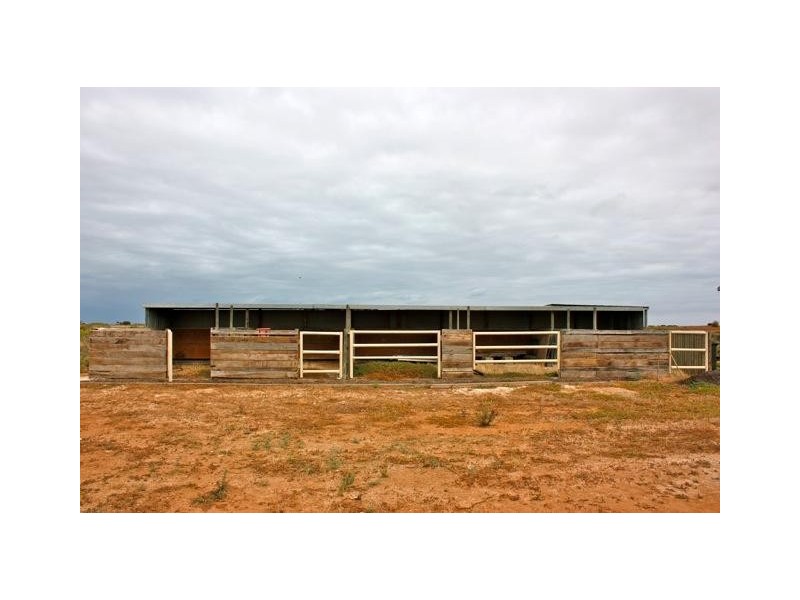 229 North Parham Road, Windsor SA 5501