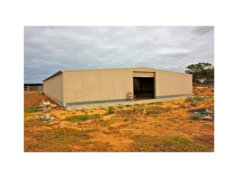 229 North Parham Road, Windsor SA 5501