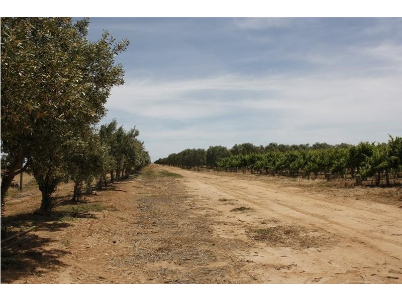 382 & 383 Brownes Road, Two Wells SA 5501