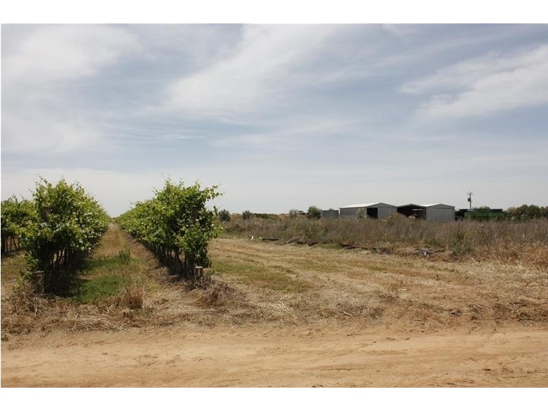382 & 383 Brownes Road, Two Wells SA 5501