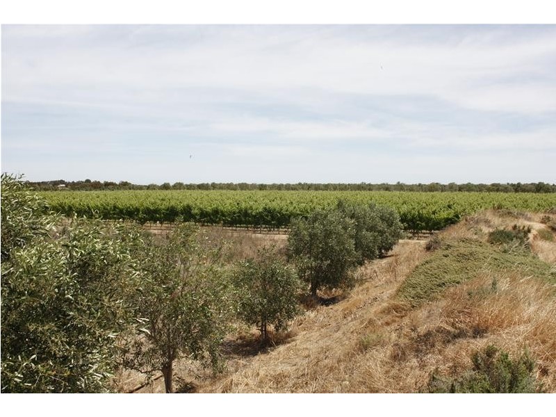 382 & 383 Brownes Road, Two Wells SA 5501