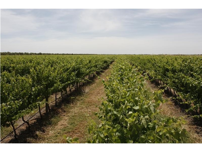 382 & 383 Brownes Road, Two Wells SA 5501