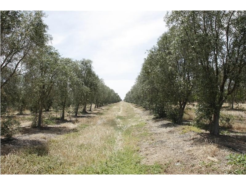 382 & 383 Brownes Road, Two Wells SA 5501