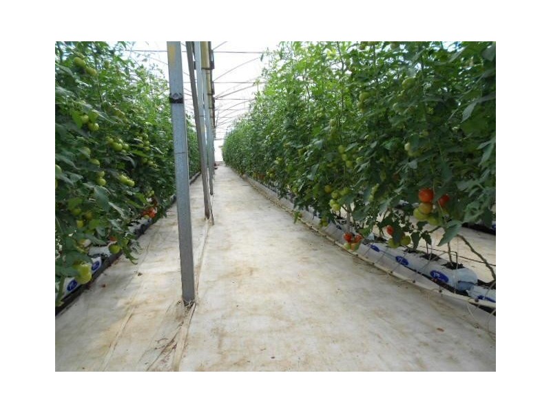 35 Ellis Road, Two Wells SA 5501