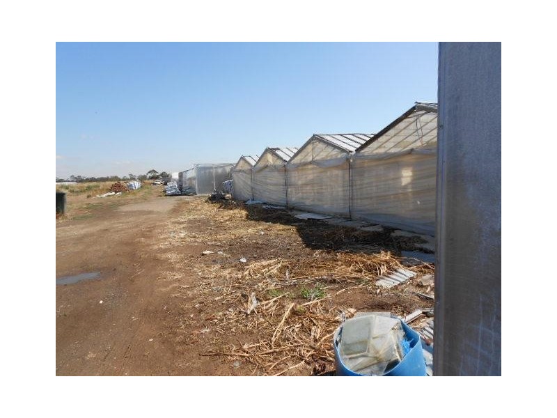 35 Ellis Road, Two Wells SA 5501