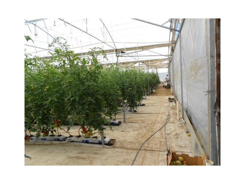 35 Ellis Road, Two Wells SA 5501