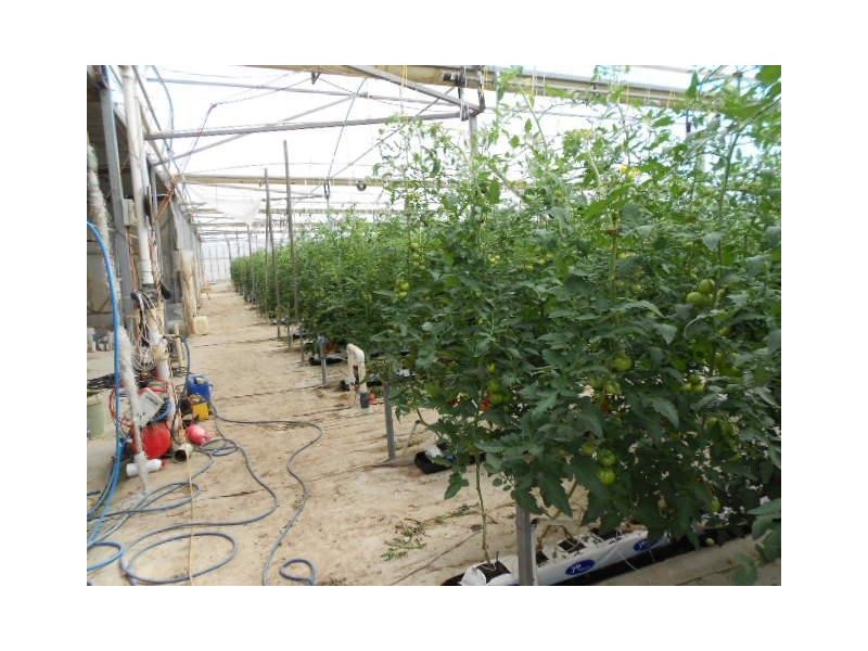 35 Ellis Road, Two Wells SA 5501