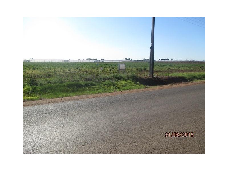 50 King Road, Virginia SA 5120