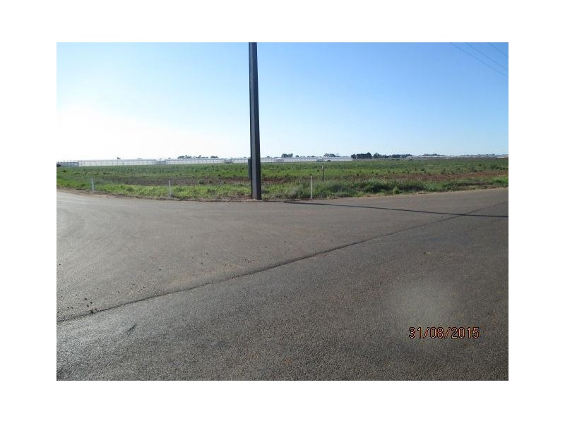 50 King Road, Virginia SA 5120