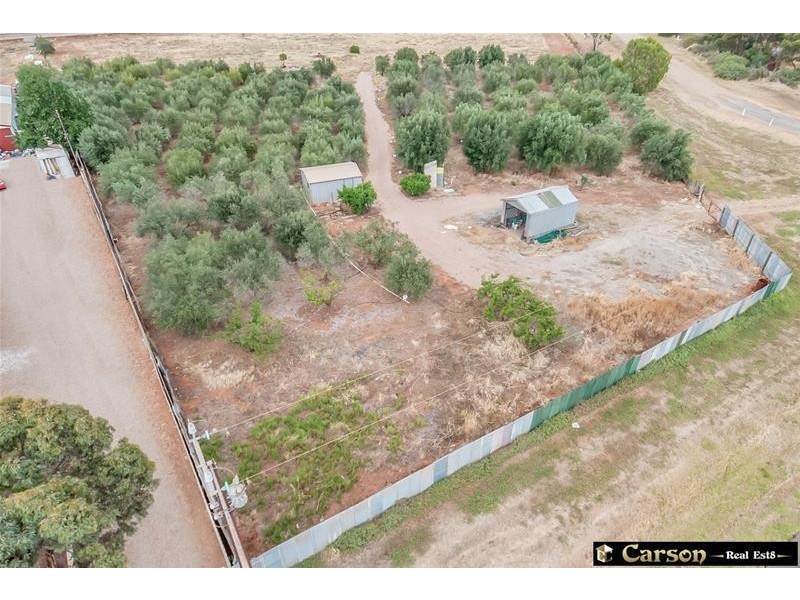 502 Alfred Road, Virginia SA 5120