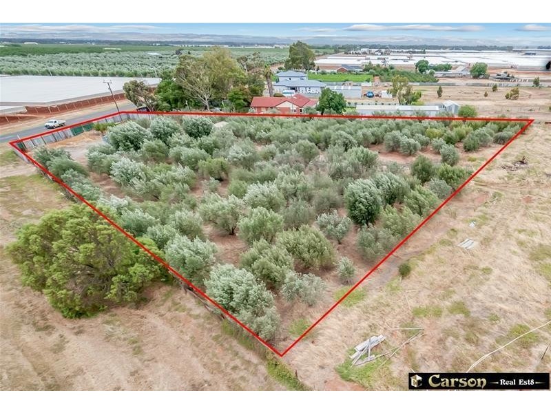 502 Alfred Road, Virginia SA 5120