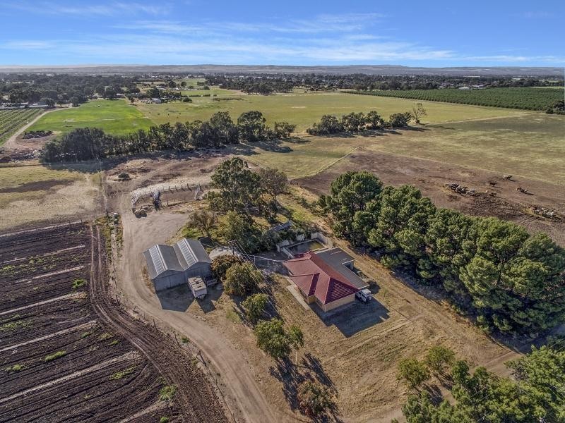 117 McGee Road, Angle Vale SA 5117