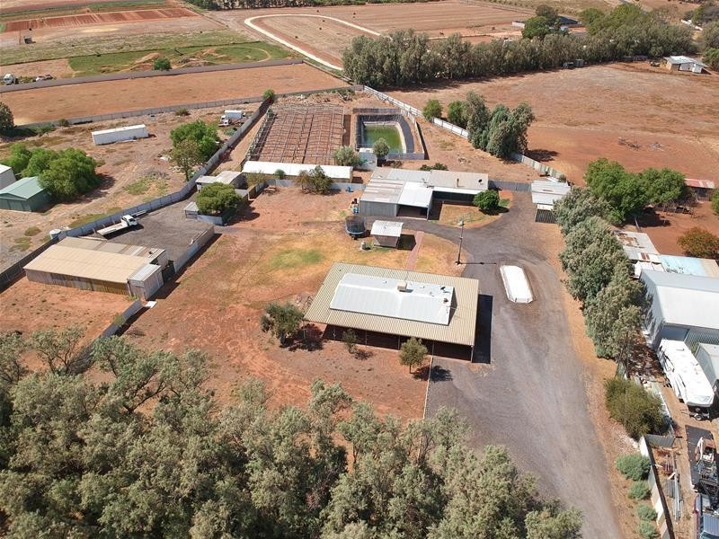 12 Woods Road, Virginia SA 5120