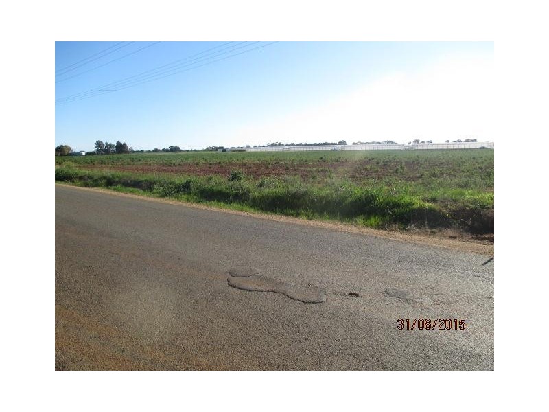 50 King Road, Virginia SA 5120